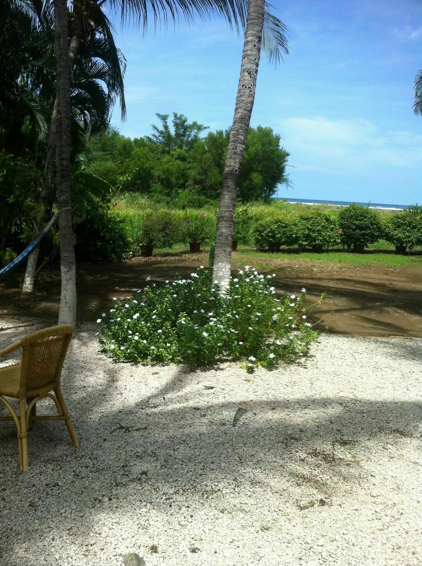 Hotel Laguna Del Cocodrilo 타마린도 외부 사진